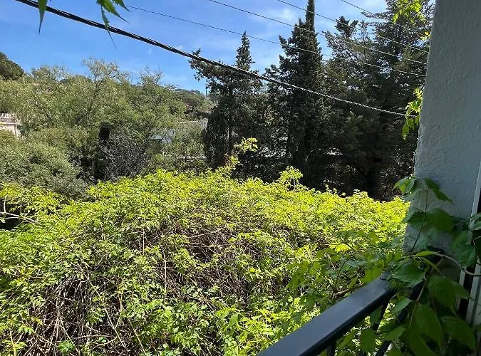 Princesse D'azur 酒店 圣马克西姆