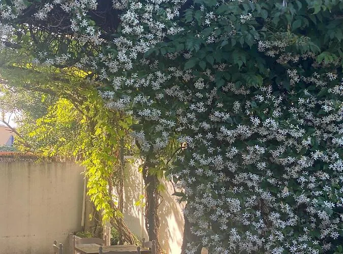 Hotell Princesse D'azur