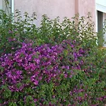 Hotel Princesse D'azur 2*