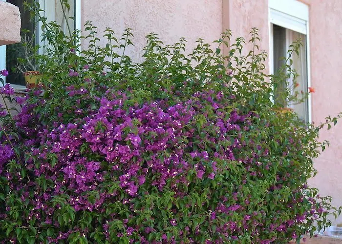 Hotel Princesse D'azur 2*